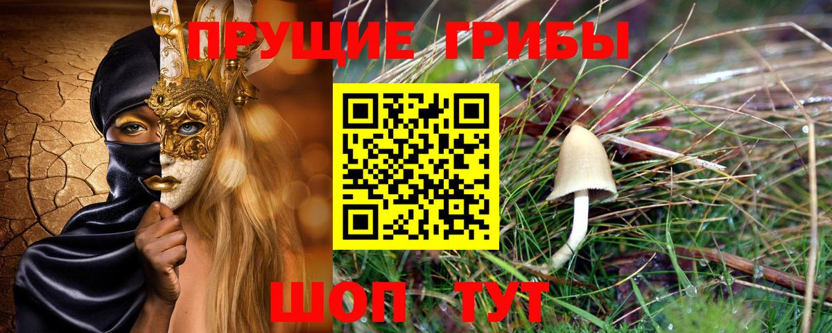 Галлюциногенные грибы прущие грибы  Псилоцибиновые грибы прущие грибы  купить наркотики сайты  Туапсе  Вход с VPN 