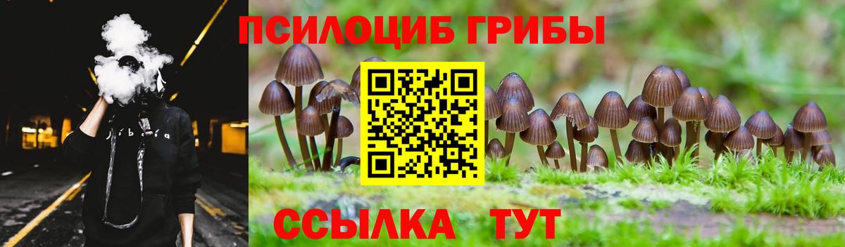 Галлюциногенные грибы Psilocybine cubensis Туапсе