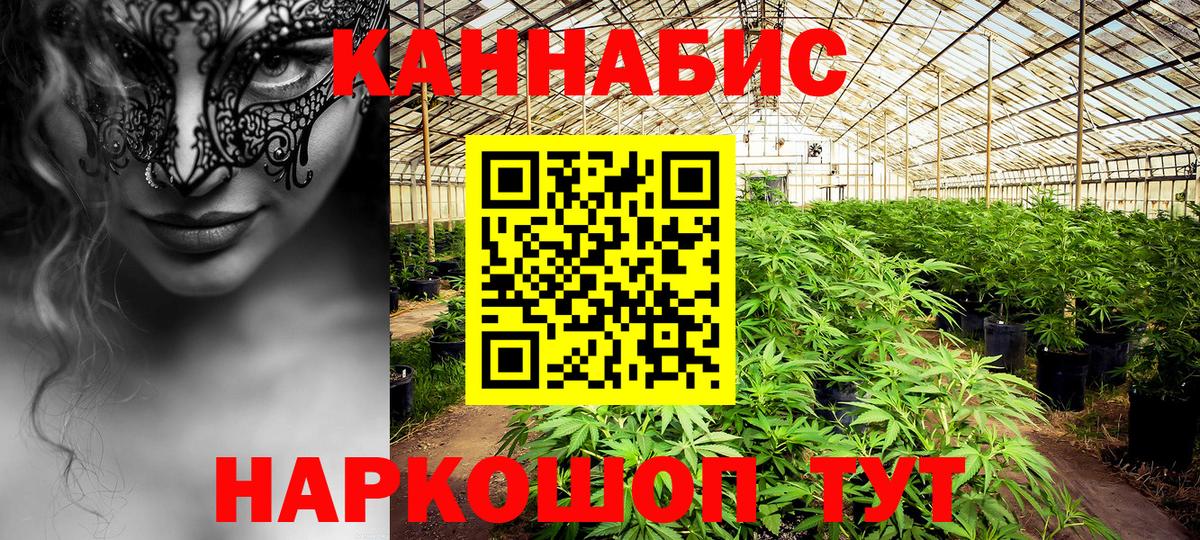 Шишки марихуана MAZAR  Марихуана план  Туапсе  Вход с VPN  Канабис конопля  МАРИХУАНА планчик 